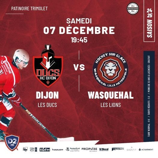 Dijon les Ducs / Wasquehal les Lions