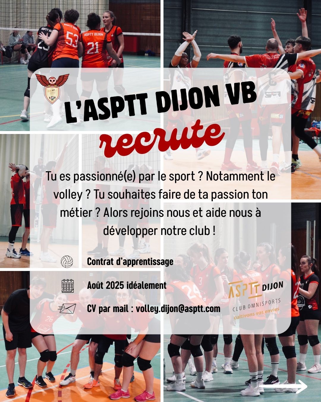 L'ASPTT volley-ball recrute !