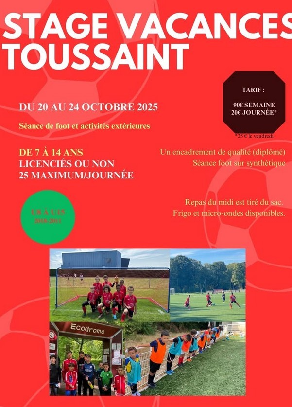 Dijon ULFE stage vacances Toussaint