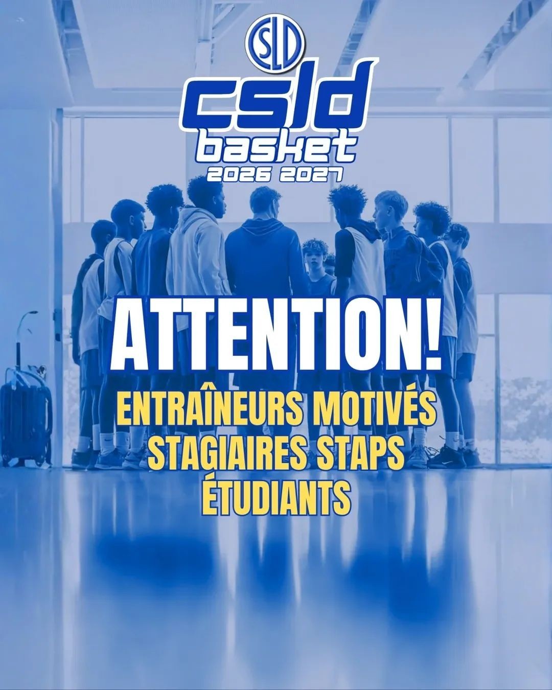 Le CSLD recrute !