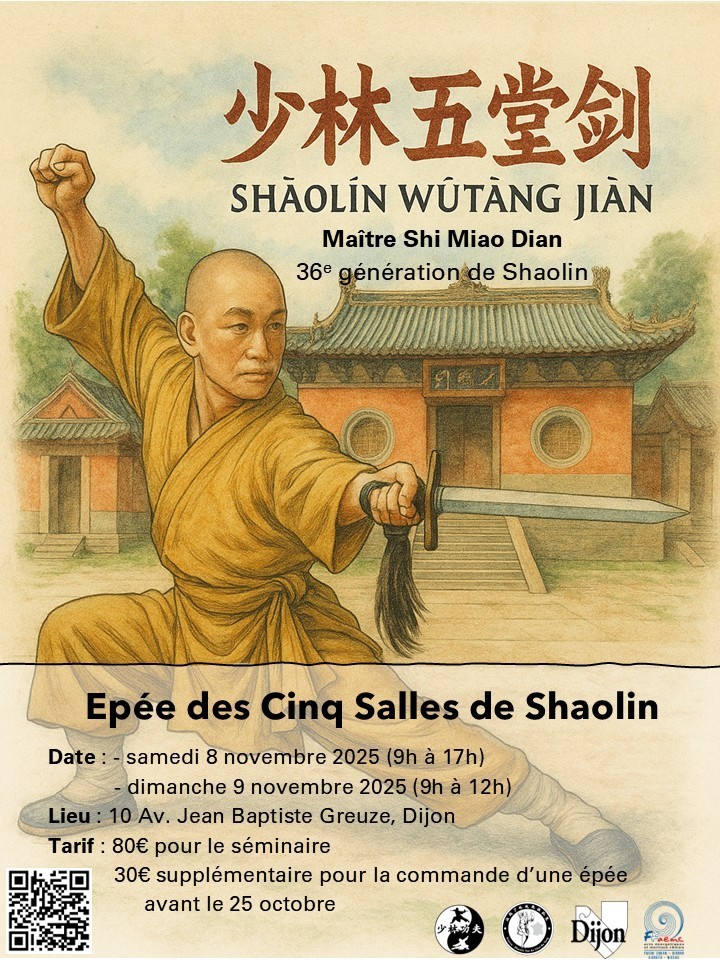 STAGE EXCEPTIONNEL DE KUNG FU SHAOLIN À DIJON !