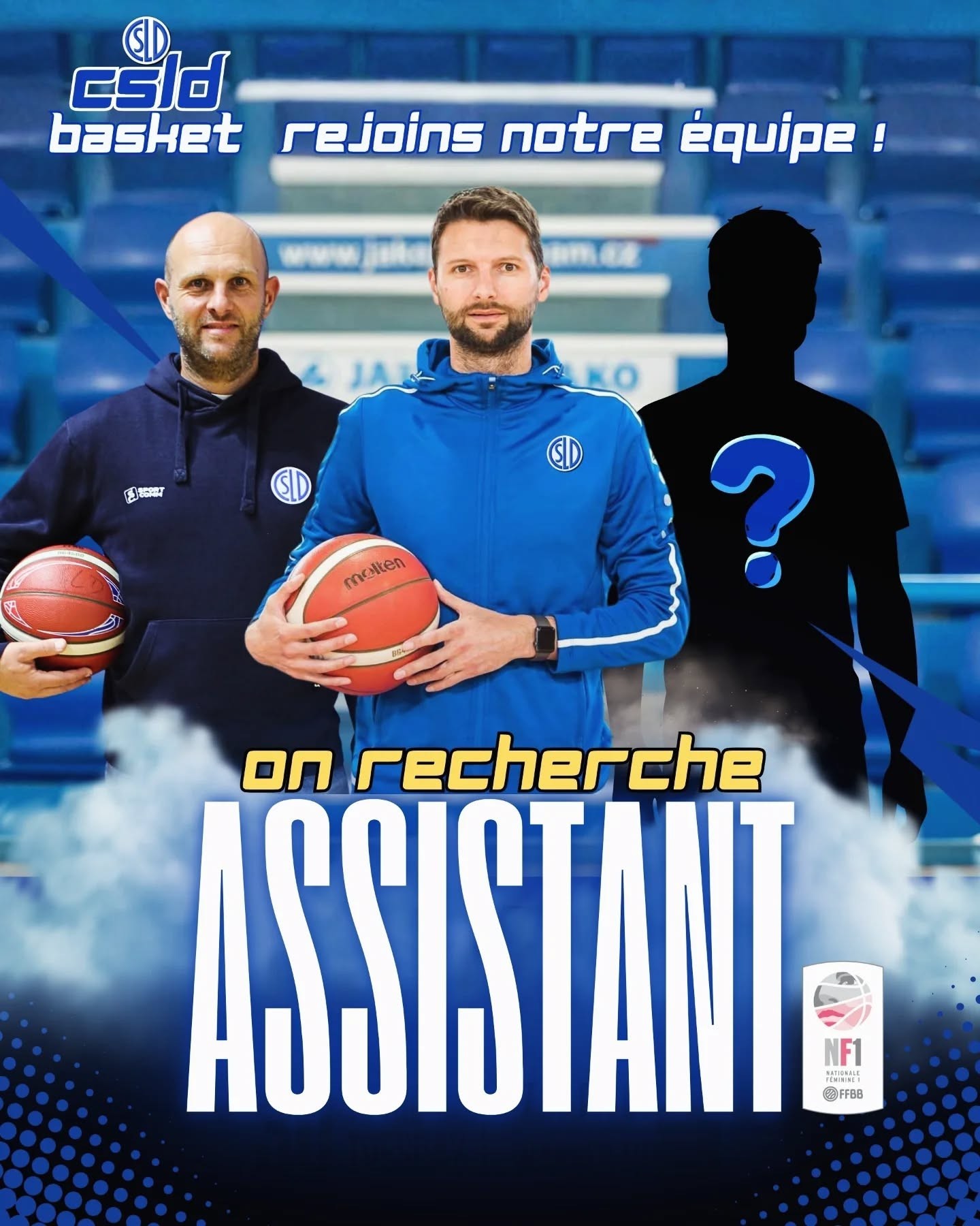 Le CSLD recherche un assistant